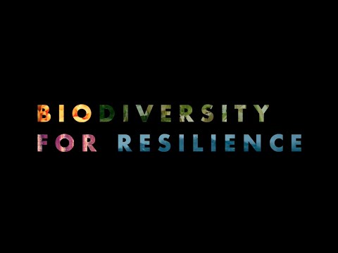 Biodiversity for Resilience: the Genebank, Ensuring Resilience